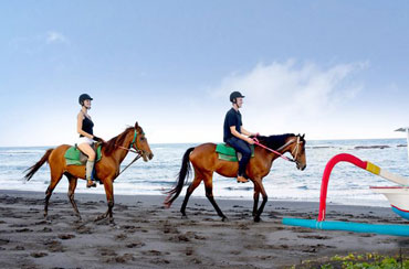 Bali Horse Riding and Swing Packages