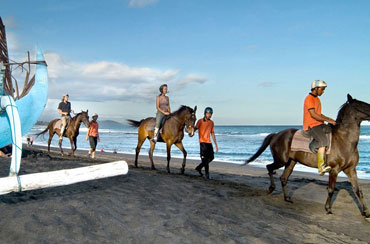 Bali Horse Riding and Spa Packages