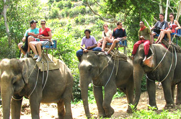 Bakas Elephant Tour