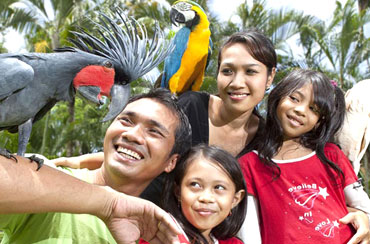 Bali Bird Park and Kintamani Tour