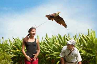 Bali Bird Park and Tanah Lot Tour