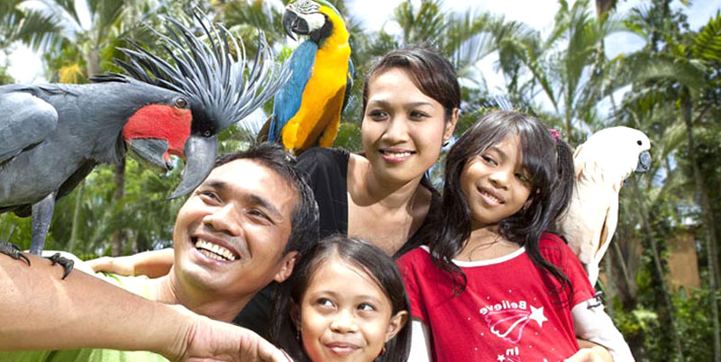 Bali Bird Park and Ubud Tour