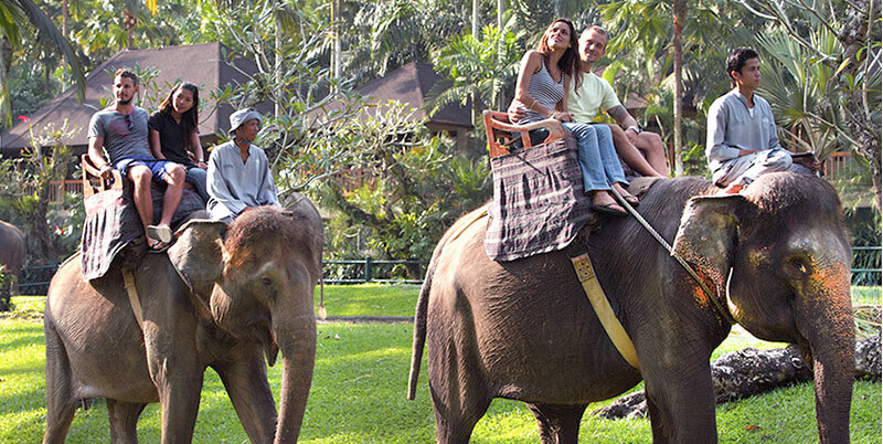 Bali Elephant Ride and Tanah Lot Tour