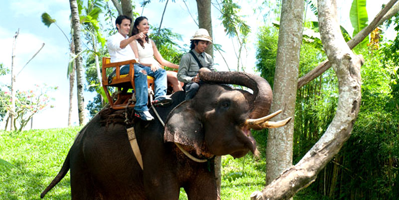 Bali Elephant Ride and Uluwatu Tour