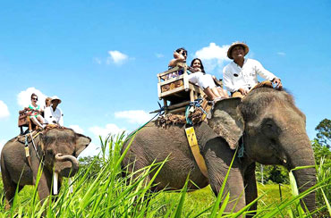 Bali Elephant Ride and Kintamani Volcano Tour