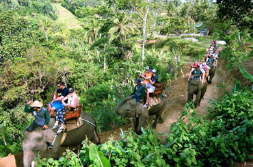 Bali Elephant Ride and Tanah Lot Tour