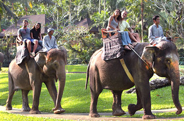 Bali Elephant Ride and Uluwatu Tour