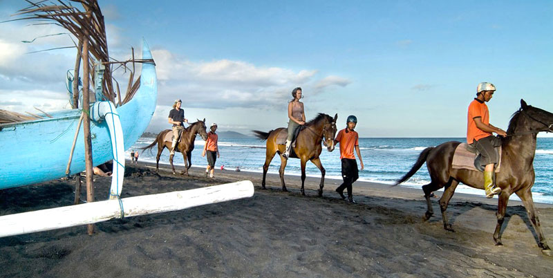 Bali Horse Riding and Uluwatu Tour
