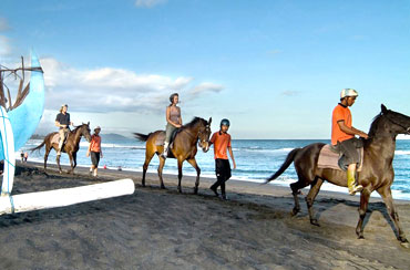 Bali Horse Riding and Ubud Tour