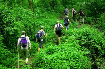 Bali Jungle Trekking and Bedugul Tour