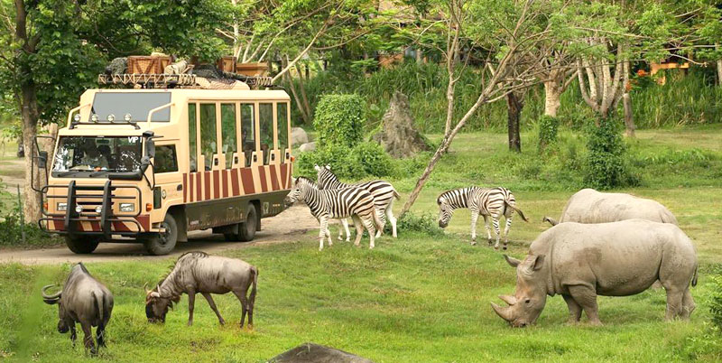 Bali Safari Park and Uluwatu Tour