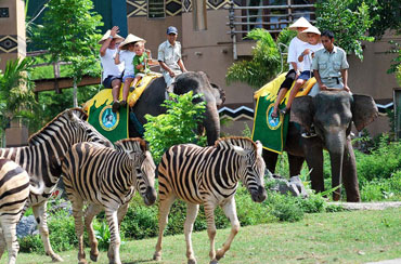 Bali Safari Park and Uluwatu Tour