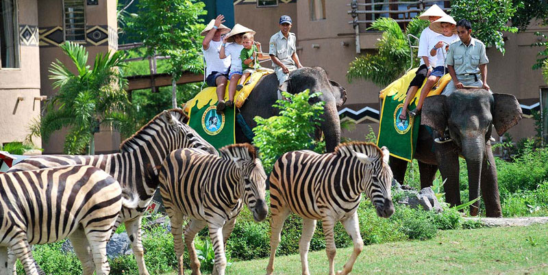 Bali Safari and Marine Park