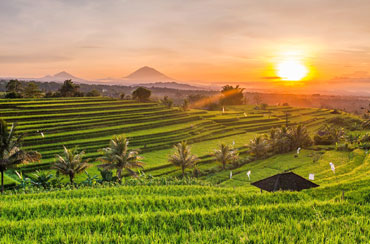 Bali Tour Packages 6 Days and 5 Nights