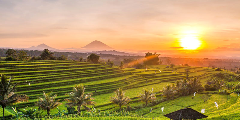 Bali Tour Packages 6 Days and 5 Nights