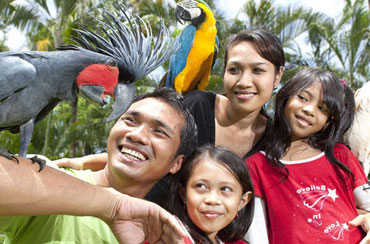 Bali Bird Park