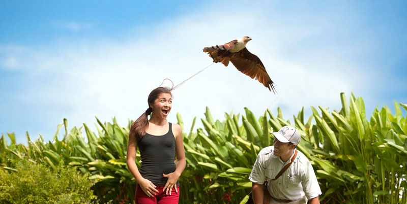 Bali Bird Park and Tanah Lot Tour