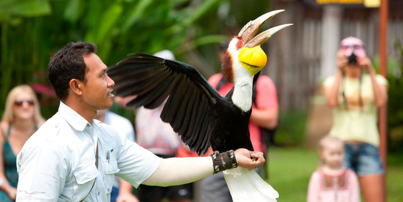 Bali Bird Park and Uluwatu Tour