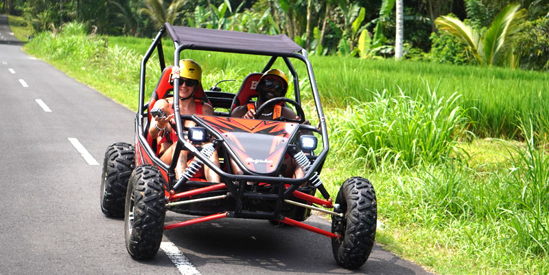 Bali Buggy