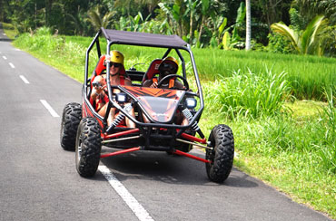 Bali Buggy