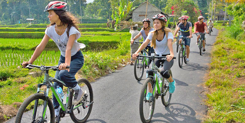 Bali Cycling and Bird Park Packages