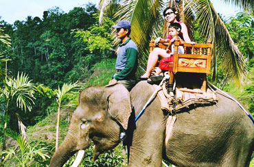 Bali Elephant Ride