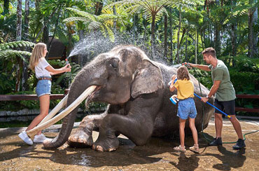 Bali Elephant Safari Park