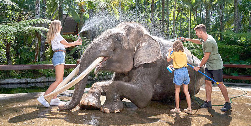 Bali Elephant Safari Park