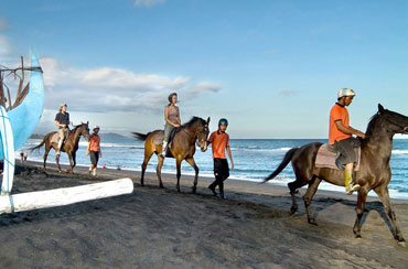 Bali Horse Riding