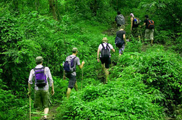 Bali Jungle Trekking