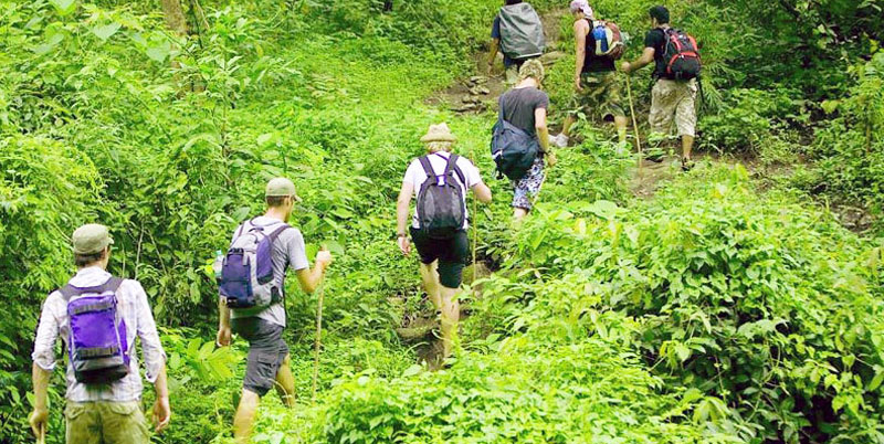 Bali Jungle Trekking