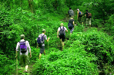 Bali Jungle Trekking