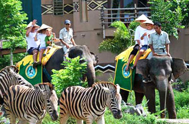 Bali Safari and Marine Park