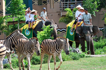 Bali Safari and Marine Park