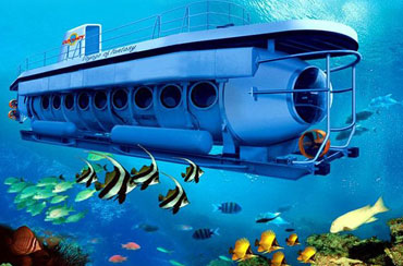 Bali Odyssey Submarine and Safari Park Packages