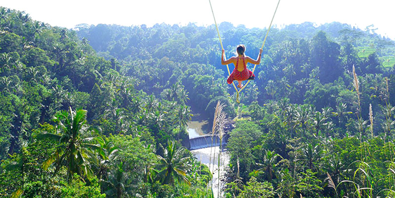 Bali Swing and Ubud Full Day Tour