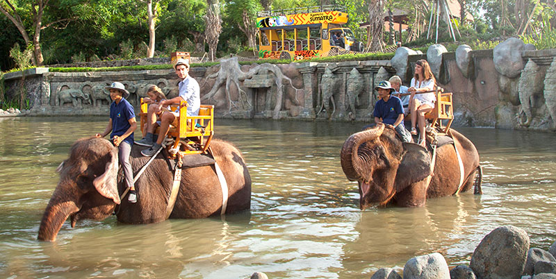 Bali Zoo Elephant Expedition