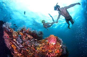 Blue Lagoon Snorkeling