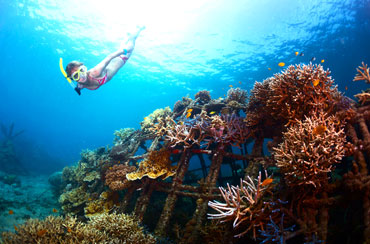 Blue Lagoon Snorkeling and Bali Horse Riding Packages