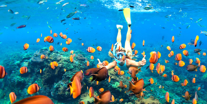 Blue Lagoon Snorkeling and Bali Swing Packages