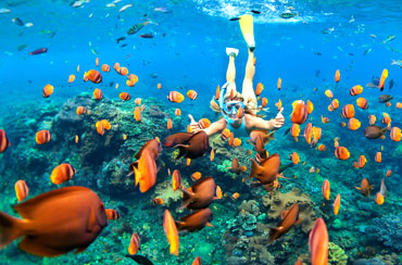 Blue Lagoon Snorkeling and Bali Swing Packages