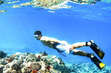 Blue Lagoon Snorkeling and Spa Packages