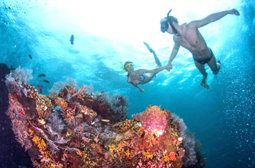 Blue Lagoon Snorkeling