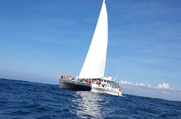 Bali Castaway Cruise