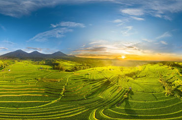 Jatiluwih Rice Terraces