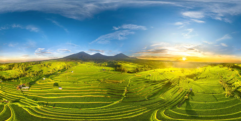 Jatiluwih Rice Terrace