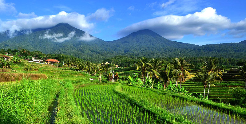 West Bali Tour